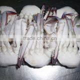 Best Quality Frozen Fresh Crab thumbnail-1