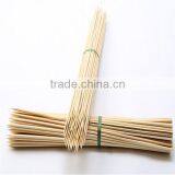 Healthy Nature Products Custom 50cm Bbq Skewer thumbnail-6