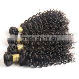 7A Grade Wholesale Price Raw Indian Curly Hair thumbnail-2