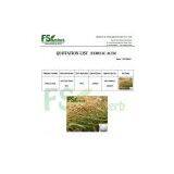 Rice Bran Extract Natural Ferulic Acid 98% thumbnail-3