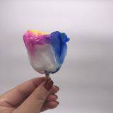 Preserved Rose Preserved Flowers Dried Flowers Birthday Valentine Party Wedding thumbnail-3