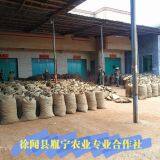 Yinning Agricultural Cooperatives In Xuwen County company overview - view 1 thumbnail
