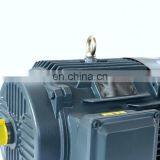 Latest Design 2019 YE2 Three-phase Asynchronous Micro ac Water Pump Motor of China Supplier thumbnail-1
