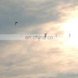 Single Phase 110v/220v, 120W AC Induction Gear Motor With Speed Control Function,ratio 20:1-75:1 thumbnail-1