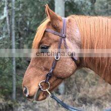 Best Selling Brown Western Saddle Halter Pet Equestrian Leather Horse Head Collar thumbnail-3