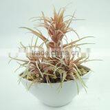 High Quality Artificial Plant Green Plant Succulent Plant thumbnail-3