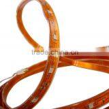 Led Strip Ip65 Waterproof Smd 5050 Flexible Led Strip ce Rohs Approval 5m Rgb 5050 Led Strip Kit With Remote High Power Led thumbnail-2