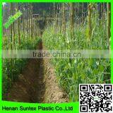 Garden Pea Trellis Netting Garden Support Mesh Net Climbing Plant Support Netting thumbnail-2