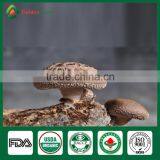 Market Price for Mushroom,Shiitake Mushroom Price,Mushroom For Sale thumbnail-2
