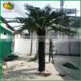 5m fiberglass trunk artificial date palm tree cheap price artificial palm tree