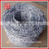 Galvanized Barbed Wire/barbed wire (factory)