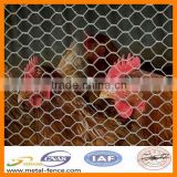 Chicken galvanized hexagonal wire netting for sale(big factory)