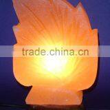 ROCK SALT LAMP LEAVE