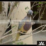 Outdoors Shooting Dove Decoy thumbnail-2