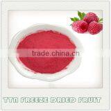 export bulk wholesale freeze dried raspberry powder