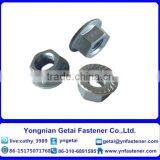 Carbon Steel DIN6923 Hex Flange Nuts thumbnail-6