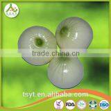 Fresh Red Onion From China thumbnail-4