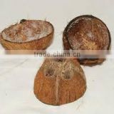 semi coconut shell