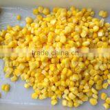 Easy Open Lid 340g Packing Canned Sweet Corn