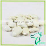 Large Type White Kidney Bean Origin In China 2016 New Crop thumbnail-3
