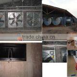 Automatic Poultry Farming Equipment for Broiler Breeder Chicken thumbnail-6