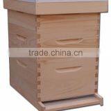 Dadant Beehive/ Langstroth Beehive / British Beehive thumbnail-5