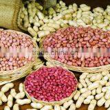 Neweek Small Automatic Low Damage Rate Peanut Decorticator for Sale thumbnail-5