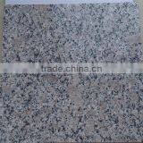 G383 Pearl Flower Granite Stone From Shandong China thumbnail-6