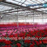 Greenhouse for Growing Flowers thumbnail-2