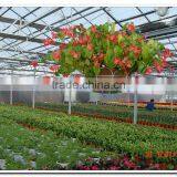 UV Coating Polycarbonate Sheet Greenhouse thumbnail-2