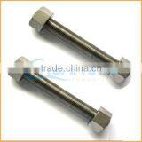 China Supplier Hardware Hex Nut Bolt and Nut
