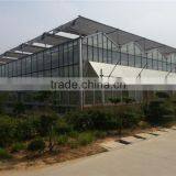 Auto Control Ventilation and Irrigation System Greenhouse thumbnail-2