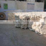 Raw Cotton / 100% Cotton Raw / 100% Cotton thumbnail-3