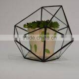 Home Design Clear Glass Terrarium Succulent Plants Greenhouses thumbnail-1