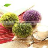 GNW GP023 Artificial Plastic Plants Pots Wholesale for Office Decoration thumbnail-1