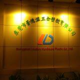 Dongguan Leaders Hardware Plastic Co.,Ltd company overview - view 1 thumbnail