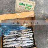 Low Price Seafood Frozen Saury thumbnail-2