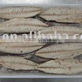 Cooked Fish Meat thumbnail-1