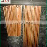 Hot Sell High Quality Varnished Broom Stick Printed With Customer Logo thumbnail-3