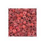 Sell IQF Raspberry thumbnail-1