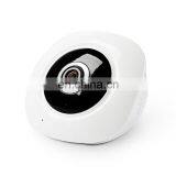 DTS-F3 1.44mm Lens 1.3 Megapixel 360 Degree Infrared IP Camera, Support Motion Detection & E-mail Alarm