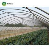 Top Quality China Manufacturer Single Span Polyethylene Film Greenhouses thumbnail-2