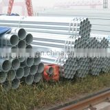 (BS 1387/ASTM A53 Standard) Threaded Galvanized Pipe/Tube