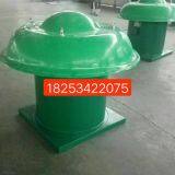 Roof Blower thumbnail-3