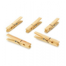 Wooden pegs