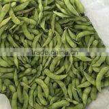 Frozen Soybean thumbnail-2