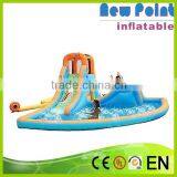 New Point 2015 Summer Beautiful Color Inflatable Slide With Small Pool