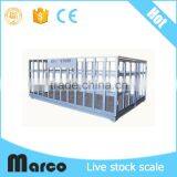 With Wireless Indicators Electronic Livestock Weigh Scales thumbnail-5