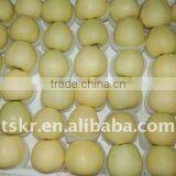 Best Yellow Golden Delicious Apple thumbnail-1