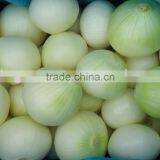 Good Quality of Fresh Yellow Onion thumbnail-1